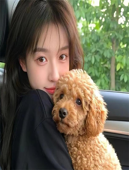 《战争之尘》有什么特别之处？独特看点与特色解析